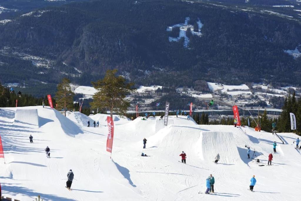 Leilighet Med Panoramautsikt Sjusjoen Innendors Parkering Экстерьер фото