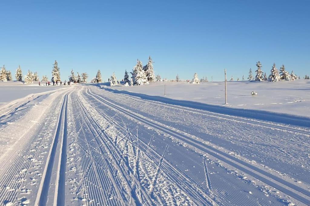 Leilighet Med Panoramautsikt Sjusjoen Innendors Parkering Экстерьер фото